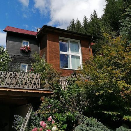 Ferienwohnung Waldhaus Klein-Veitsch, Auszeit Im Gruenen Niederaigen Exterior foto