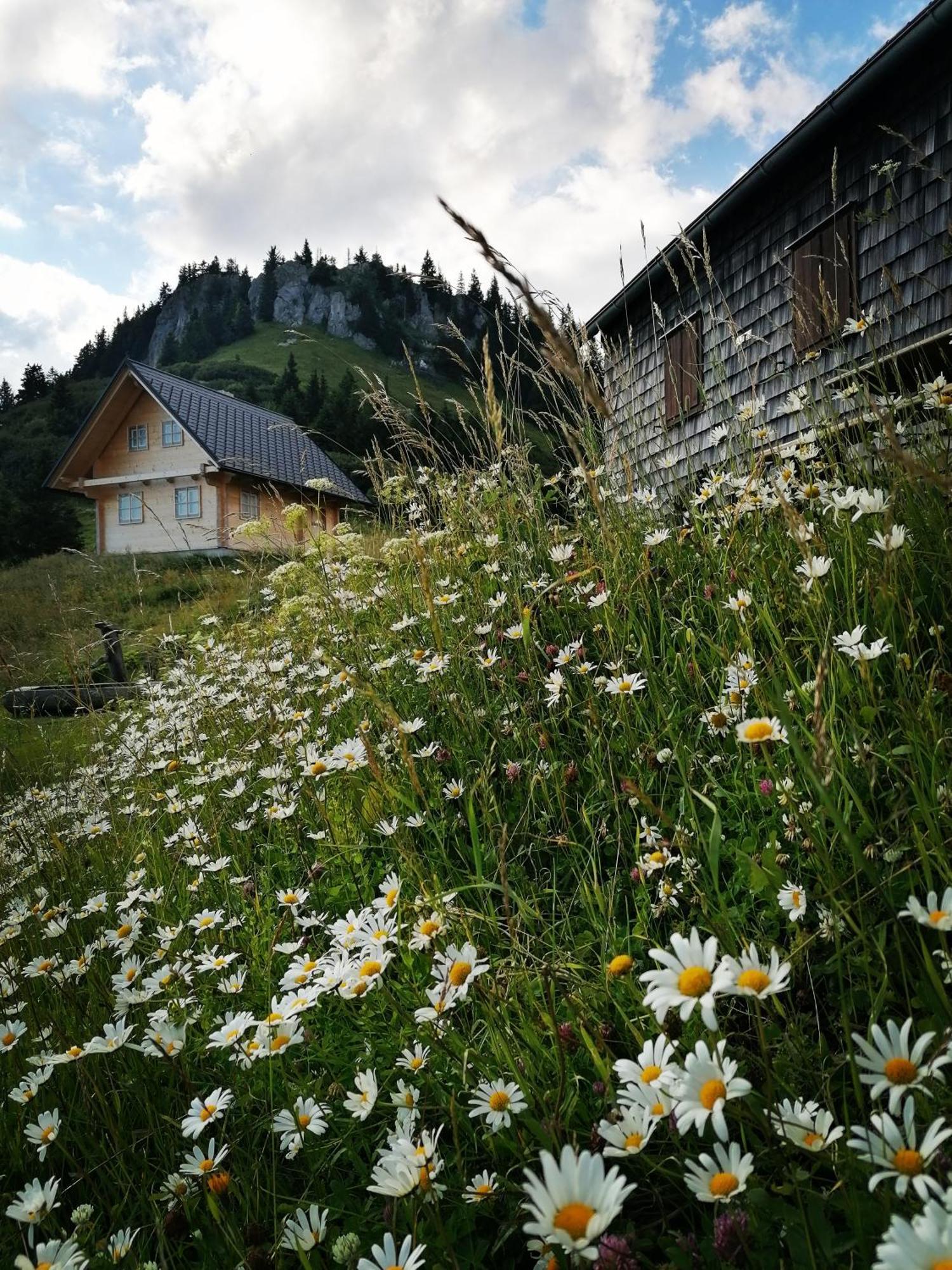 Ferienwohnung Waldhaus Klein-Veitsch, Auszeit Im Gruenen Niederaigen Exterior foto
