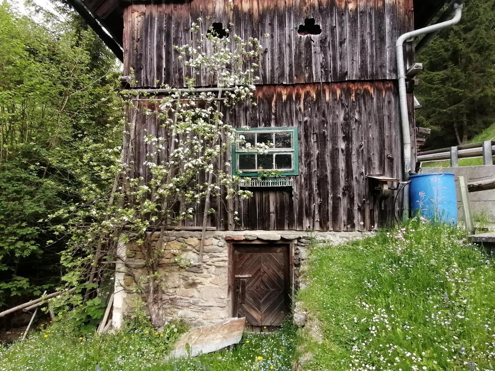 Ferienwohnung Waldhaus Klein-Veitsch, Auszeit Im Gruenen Niederaigen Exterior foto